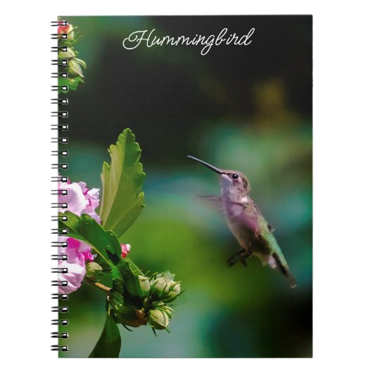 Ruby-throated Hummingbird - Original Foto Notizblock (Vorderseite)