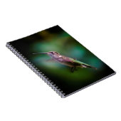 Ruby-throated Hummingbird - Original Foto Notizblock (Rechte Seite)