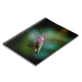 Ruby-throated Hummingbird - Original Foto Notizblock (Linke Seite)