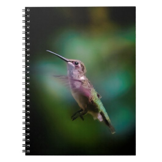 Ruby-throated Hummingbird - Original Foto Notizblock (Vorderseite)