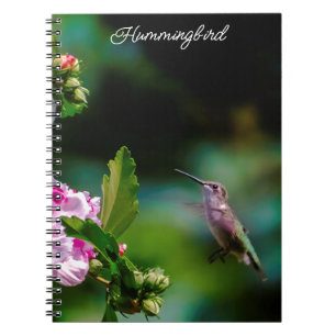 Ruby-throated Hummingbird - Original Foto Notizblock