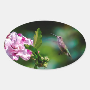 Ruby-throated Hummingbird - Original Foto Ovaler Aufkleber