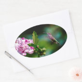 Ruby-throated Hummingbird - Original Foto Ovaler Aufkleber (Umschlag)