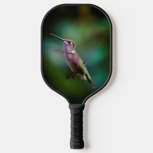 Ruby-throated Hummingbird - Original Foto Pickleball Schläger (Vorderseite)
