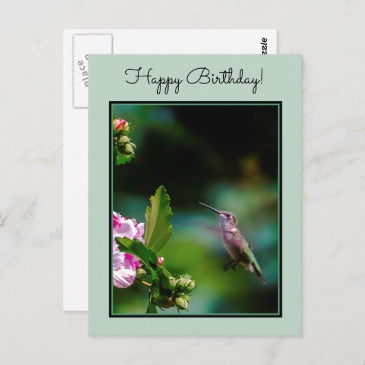 Ruby-throated Hummingbird - Original Foto Postkarte (Vorne/Hinten)