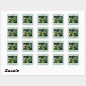 Ruby-throated Hummingbird - Original Foto Quadratischer Aufkleber (Blatt)