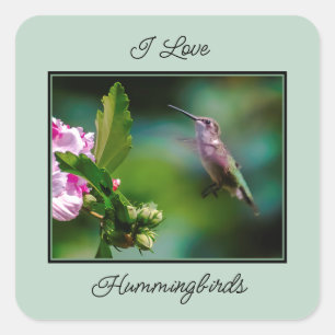 Ruby-throated Hummingbird - Original Foto Quadratischer Aufkleber