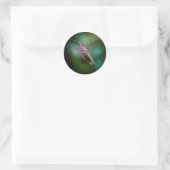 Ruby-throated Hummingbird - Original Foto Runder Aufkleber (Tasche)