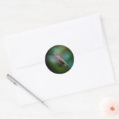Ruby-throated Hummingbird - Original Foto Runder Aufkleber (Umschlag)