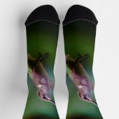 Ruby-throated Hummingbird - Original Foto Socken (Oben)