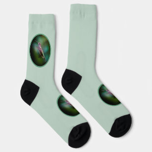 Ruby-throated Hummingbird - Original Foto Socken