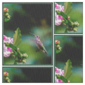 Ruby-throated Hummingbird - Original Foto Stoff (Nahaufnahme)