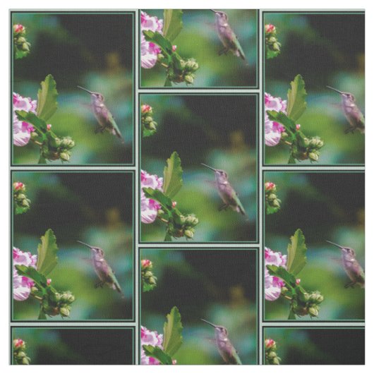 Ruby-throated Hummingbird - Original Foto Stoff (Muster)