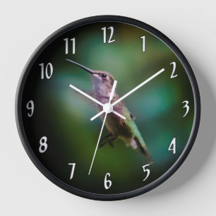 Ruby-throated Hummingbird - Original Foto Uhr