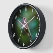 Ruby-throated Hummingbird - Original Foto Uhr (Winkel)