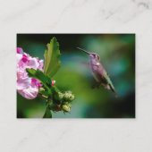 Ruby-throated Hummingbird - Original Foto Visitenkarte (Rückseite)