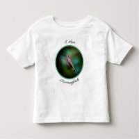 Ruby-throated Hummingbird - Original Foto von