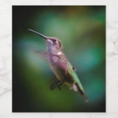 Ruby-throated Hummingbird - Original Foto Weinetikett (Einzelnes Label)