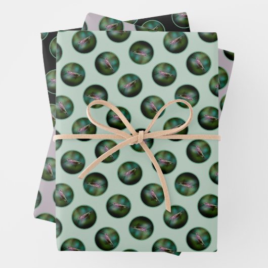 Ruby-throated Hummingbird Original Fotograf Geschenkpapier Set (Beispiel)