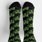Ruby-throated Hummingbird Original Fotograf Socken (Oben)