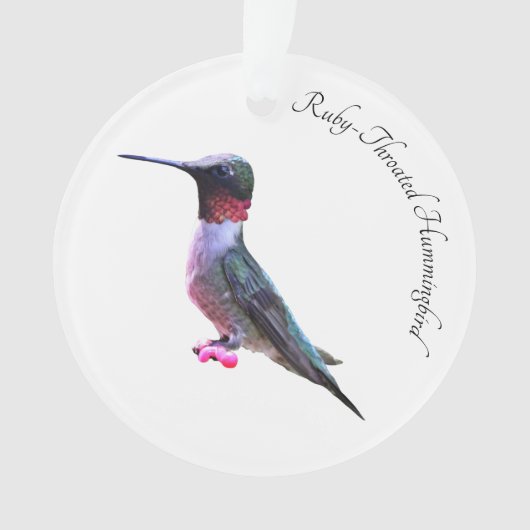 Ruby-Throated Hummingbird Ornament (Vorderseite)