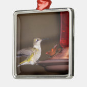 Ruby-throated Hummingbird Ornament Aus Metall (Links)