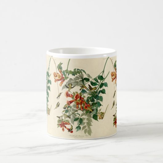 Ruby Throated Hummingbird Painting by Audubon Kaffeetasse (Mittel)