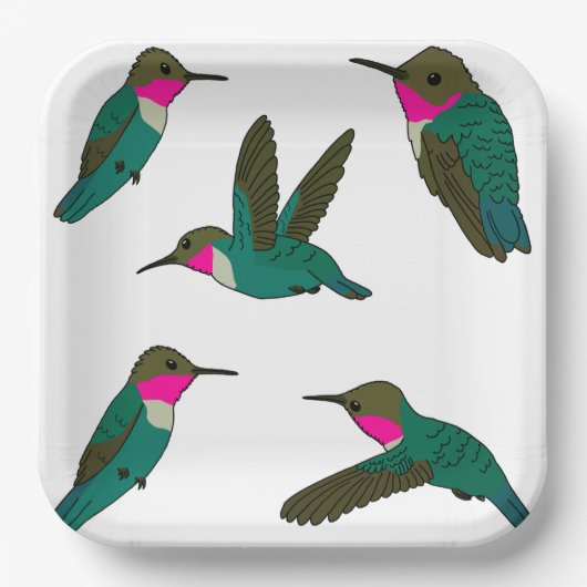 Ruby Throated Hummingbird Pappteller (Vorderseite)