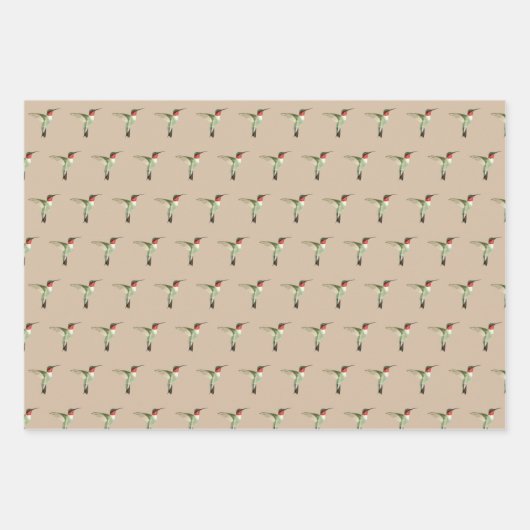 Ruby-throated Hummingbird Pattern Geschenkpapier Set (Vorderseite 3)