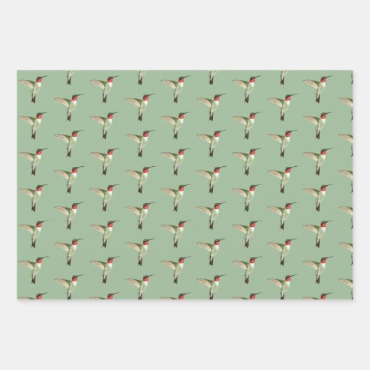 Ruby-throated Hummingbird Pattern Geschenkpapier Set (Vorderseite 2)