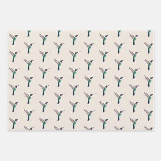 Ruby-throated Hummingbird Pattern Geschenkpapier Set (Vorderseite)