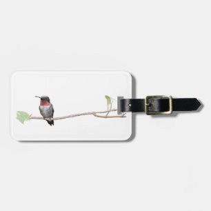 Ruby-Throated Hummingbird, Personalisiert Gepäckanhänger