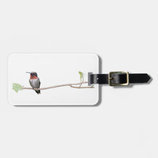 Ruby-Throated Hummingbird, Personalisiert Gepäckanhänger