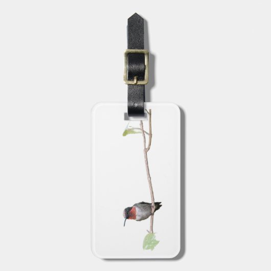 Ruby-Throated Hummingbird, Personalisiert Gepäckanhänger (Vorderseite vertikal)