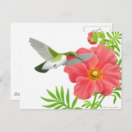 Ruby Throated Hummingbird Postcard Postkarte (Vorne/Hinten)