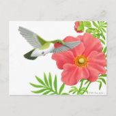 Ruby Throated Hummingbird Postcard Postkarte (Vorderseite)