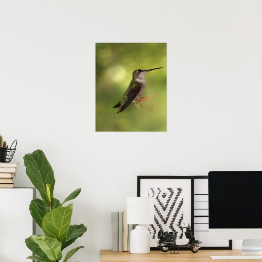 Ruby Throated Hummingbird Poster (Heimbüro)