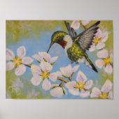 Ruby-Throated Hummingbird - Poster (Vorne)