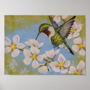 Ruby-Throated Hummingbird - Poster