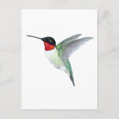 Ruby-throated Hummingbird Postkarte (Vorderseite)