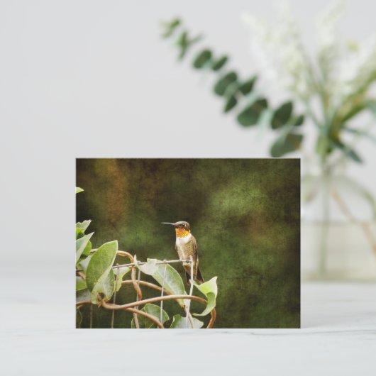 Ruby Throated Hummingbird Postkarte (Stehend Vorderseite)