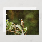 Ruby Throated Hummingbird Postkarte (Vorne/Hinten)