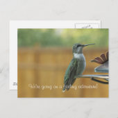 Ruby Throated Hummingbird Postkarte (Vorne/Hinten)