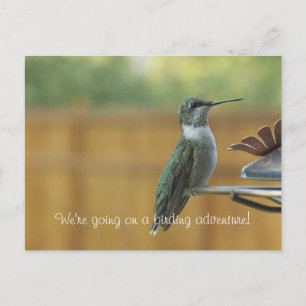 Ruby Throated Hummingbird Postkarte