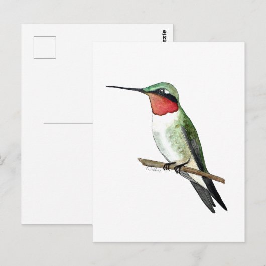 Ruby-throated Hummingbird Postkarte (Vorne/Hinten)