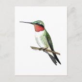 Ruby-throated Hummingbird Postkarte (Vorderseite)