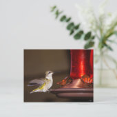 Ruby-throated Hummingbird Postkarte (Stehend Vorderseite)