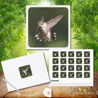 Ruby-Throated Hummingbird Quadratischer Aufkleber