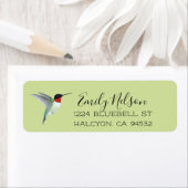 Ruby-throated Hummingbird-Rücksendeadresse (Insitu)