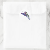Ruby Throated Hummingbird Runder Aufkleber (Tasche)